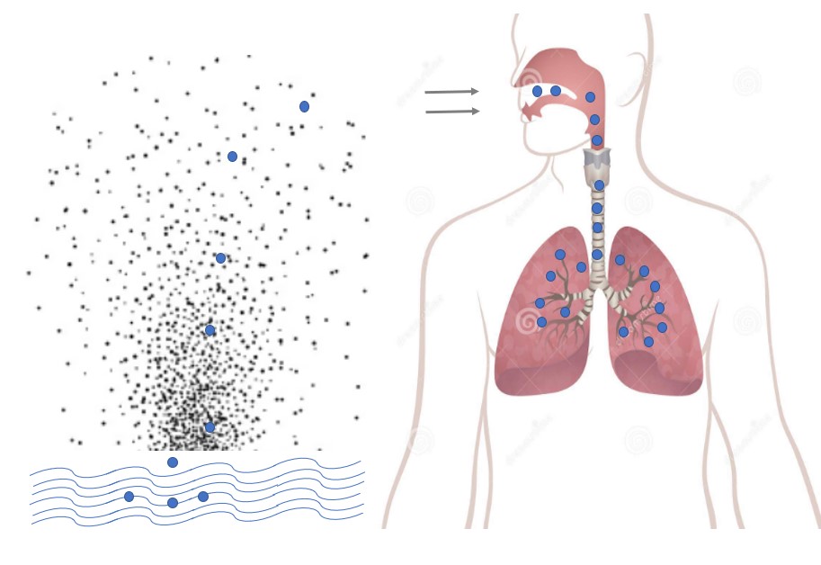 PCR Testing Enables Early Detection of Legionella